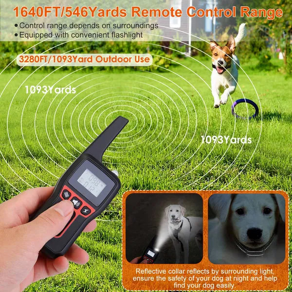 db0811b202d37dd07457b9b0063545e2
